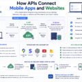 API development guide showing how APIs connect mobile apps, websites, databases, and backend systems